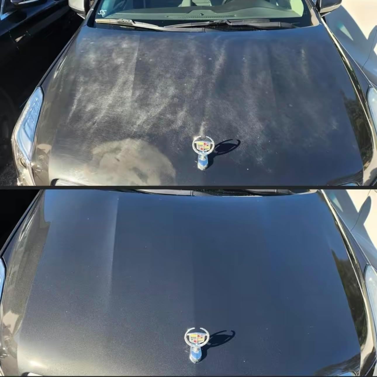 Car Stuff Shiner And Protector(BUY 1 GET 1 FREE)